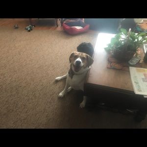 Meet your Posher, Marc